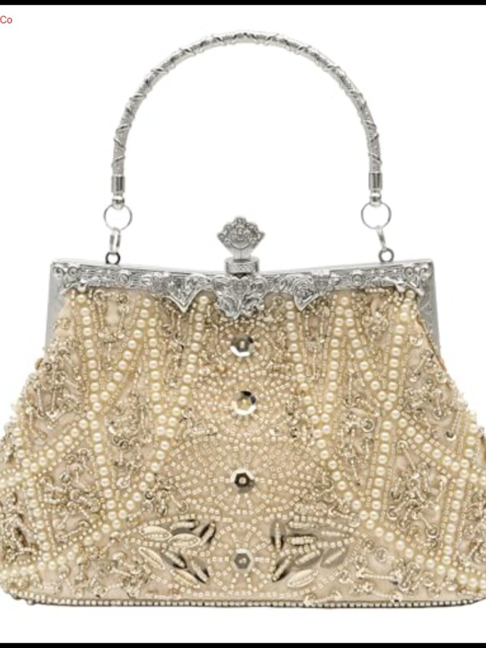 Beaded Evening Clutch Purse with Detachable Chain Crossbody Handbag